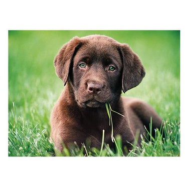 Puzzle Cachorro de chocolate - Banbury Arte